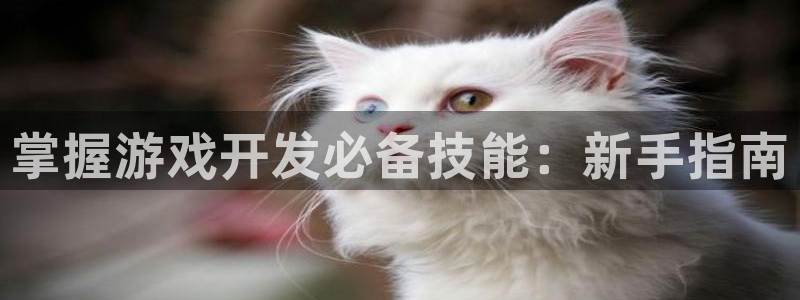 沐鸣娱乐2手机下载