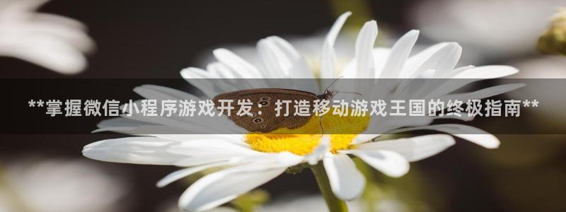沐鸣2官网