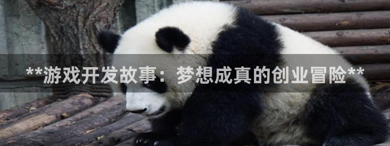 沐鸣娱乐2如何找回密码