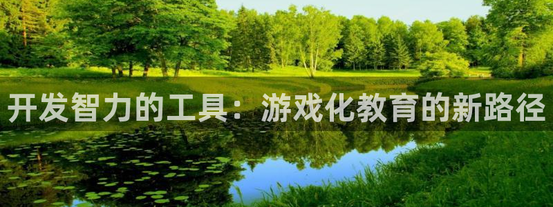 沐鸣代理22927：开发智力的工具：游戏化教育的新路径