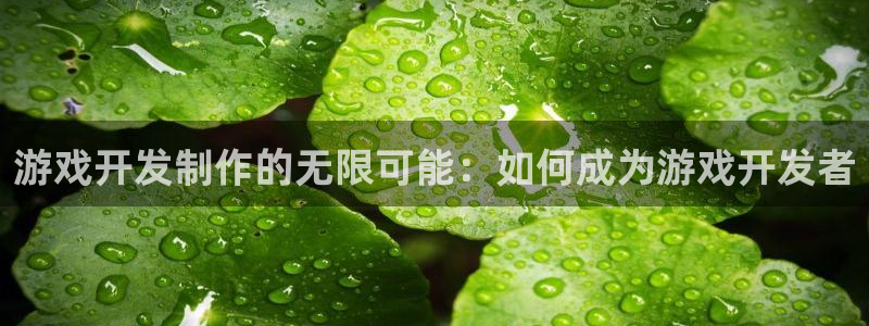 沐鸣娱乐2官网