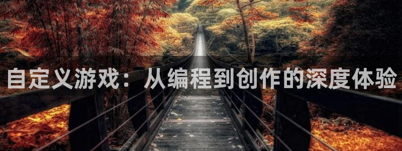 沐鸣2登录地址：自定义游戏：从编程到创作的深度体验