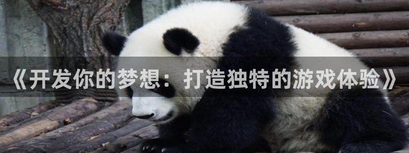 沐鸣2注册流程：《开发你的梦想：打造独特的游戏体验》