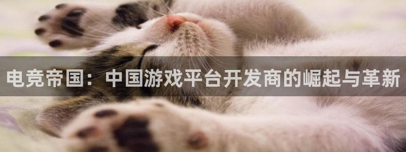 沐鸣娱乐2注册平台：电竞帝国：中国游戏平台开发商的崛起与革新
