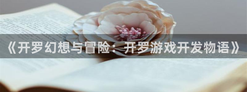 沐鸣2注册地址：《开罗幻想与冒险：开罗游戏开发物语》