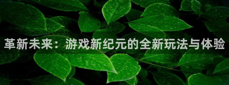 沐鸣2代理注册：革新未来：游戏新纪元的全新玩法与体验