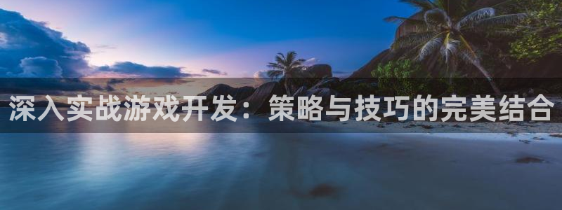 沐鸣娱乐2可靠吗：深入实战游戏开发：策略与技巧的完美结合