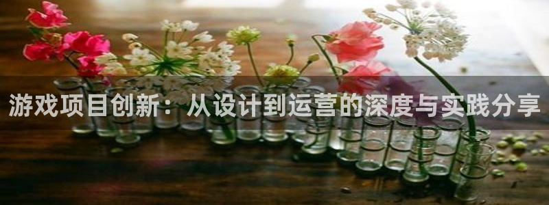 沐鸣2首页登录：游戏项目创新：从设计到运营的深度与实践分享