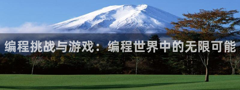 沐鸣2娱乐平台登录客服：编程挑战与游戏：编程世界中的无限可能