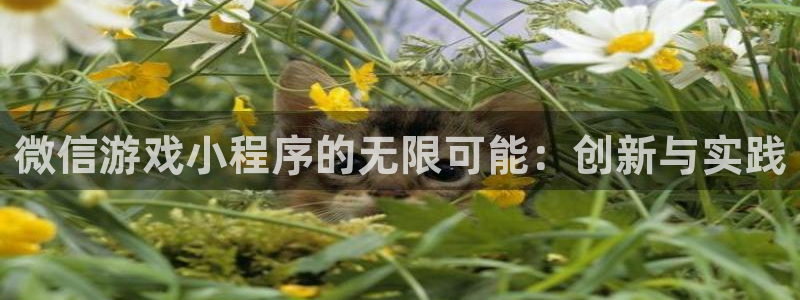 沐鸣2娱乐平台注册：微信游戏小程序的无限可能：创新与实践