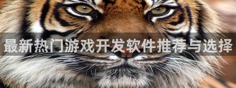 沐鸣娱乐2登陆不上怎么办：最新热门游戏开发软件推荐与选择