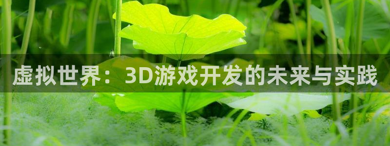 沐鸣娱乐2登录平台官网入口：虚拟世界：3D游戏开发的未来与实践